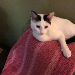 Meet your Posher, Christine